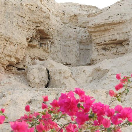 Dead Sea Dawn Villa Neot HaKikar Exterior photo