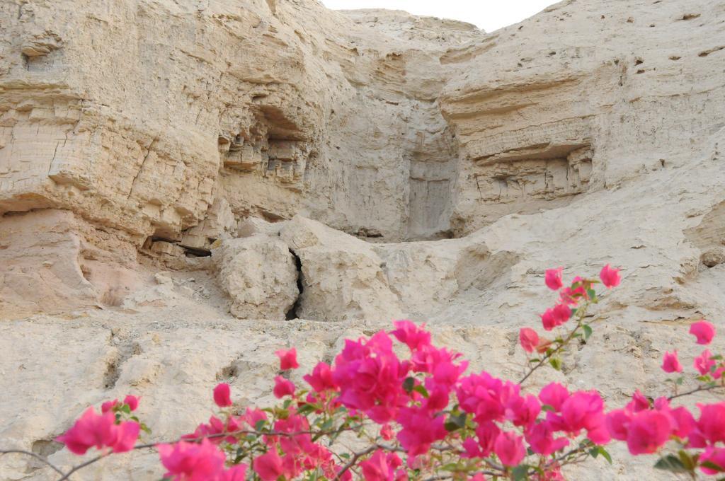 Dead Sea Dawn Villa Neot HaKikar Exterior photo